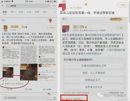 娱乐吃瓜群名叫什么,揭秘“娱乐吃瓜群”背后的热点事件与趣味瞬间
